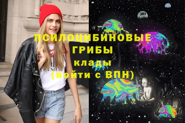 спиды Россошь